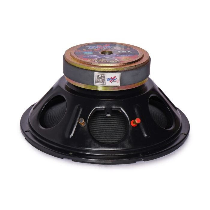 BTX:012 (12"-250WATT)